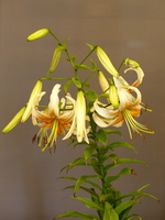 Foto: Dr. Peter Müller